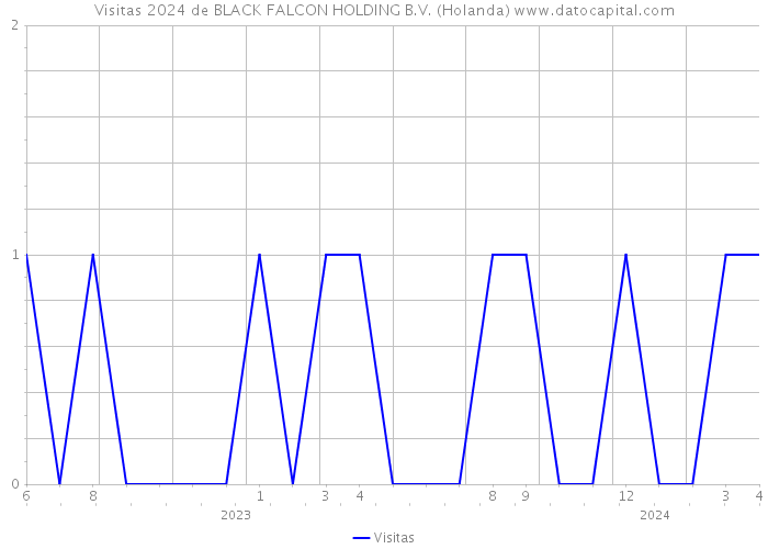Visitas 2024 de BLACK FALCON HOLDING B.V. (Holanda) 