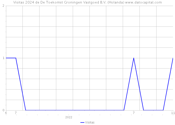 Visitas 2024 de De Toekomst Groningen Vastgoed B.V. (Holanda) 