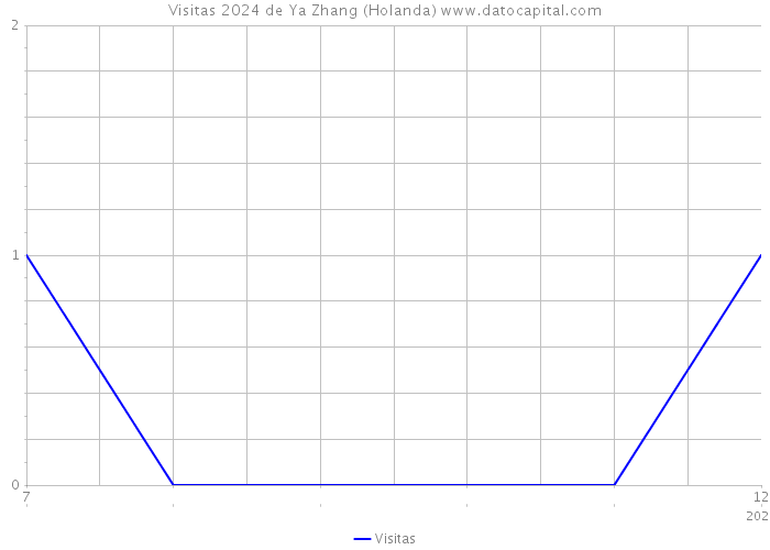 Visitas 2024 de Ya Zhang (Holanda) 