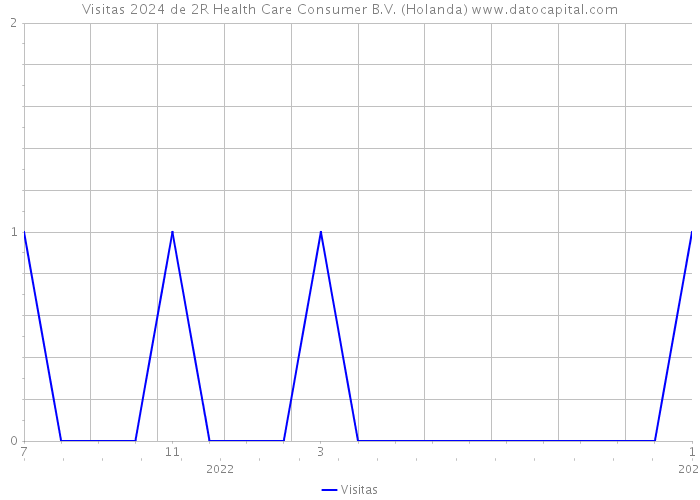 Visitas 2024 de 2R Health Care Consumer B.V. (Holanda) 