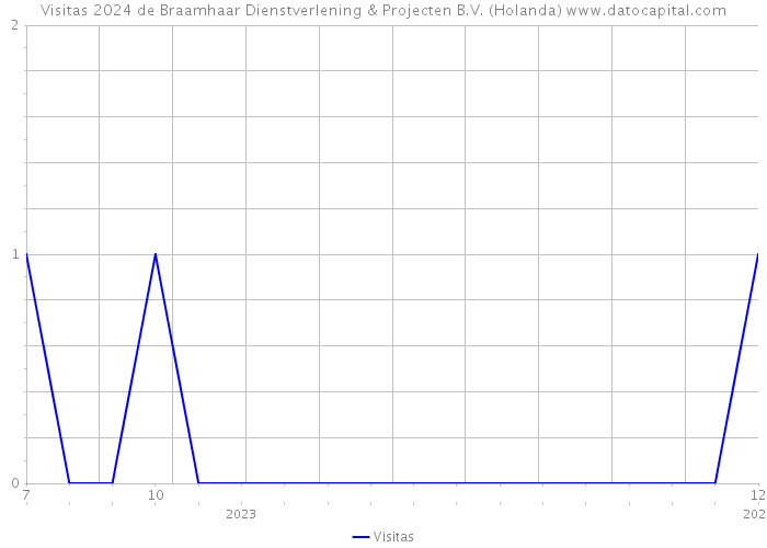 Visitas 2024 de Braamhaar Dienstverlening & Projecten B.V. (Holanda) 