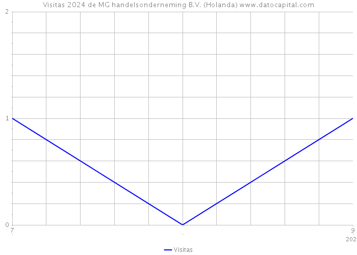 Visitas 2024 de MG handelsonderneming B.V. (Holanda) 