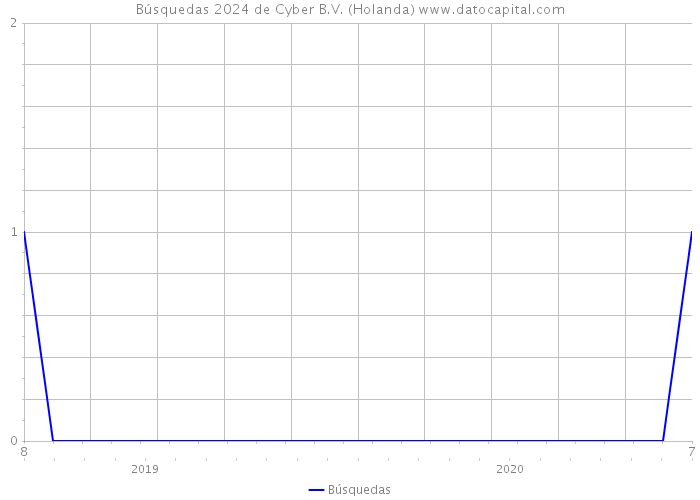 Búsquedas 2024 de Cyber B.V. (Holanda) 
