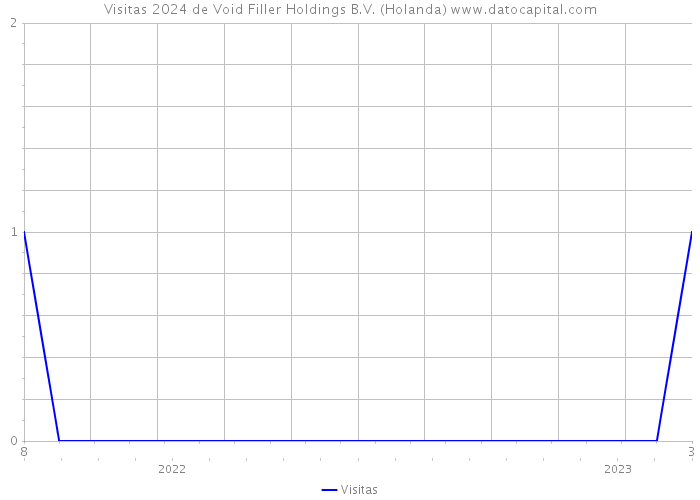 Visitas 2024 de Void Filler Holdings B.V. (Holanda) 