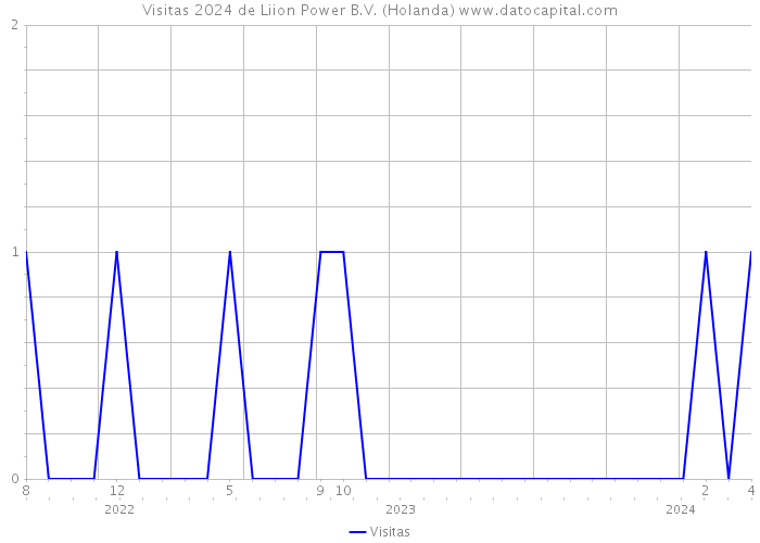 Visitas 2024 de Liion Power B.V. (Holanda) 