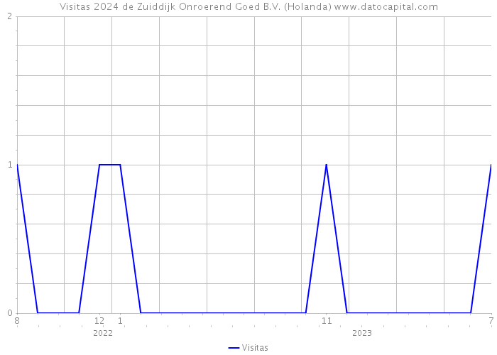 Visitas 2024 de Zuiddijk Onroerend Goed B.V. (Holanda) 