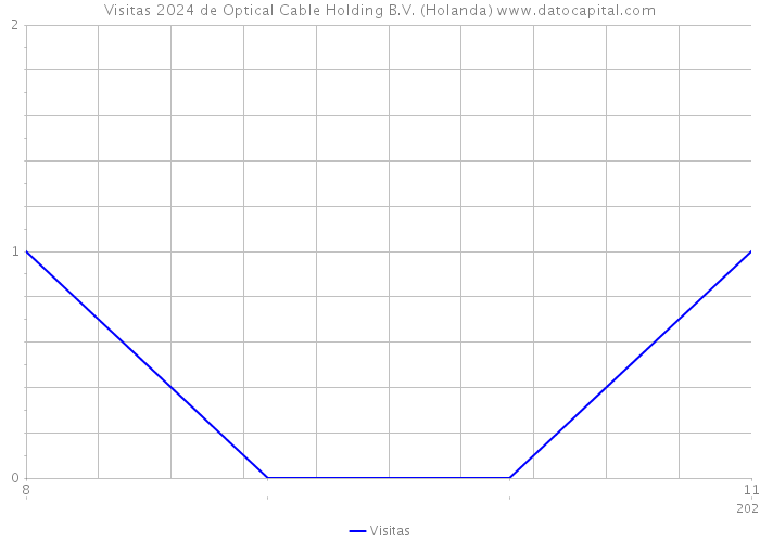 Visitas 2024 de Optical Cable Holding B.V. (Holanda) 