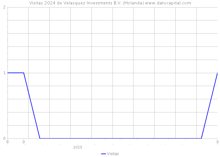 Visitas 2024 de Velasquez Investments B.V. (Holanda) 