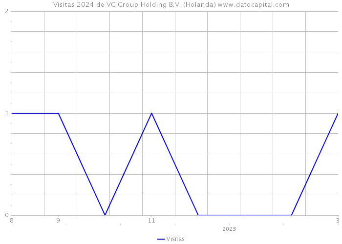 Visitas 2024 de VG Group Holding B.V. (Holanda) 