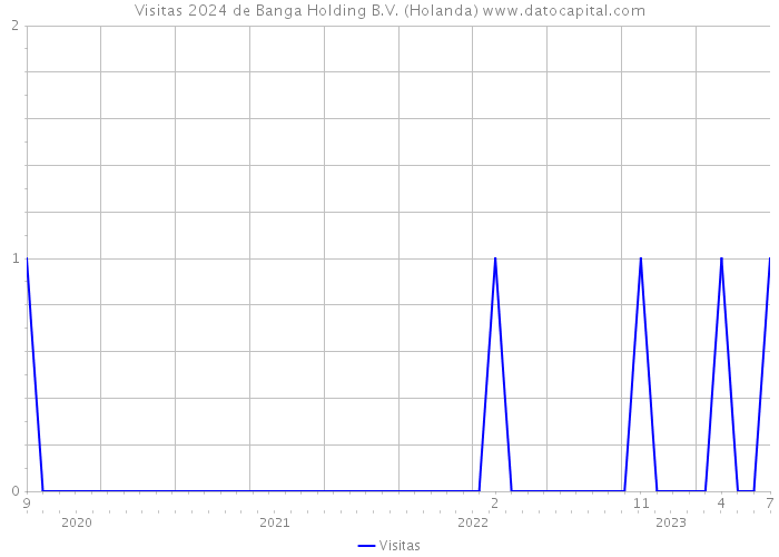 Visitas 2024 de Banga Holding B.V. (Holanda) 
