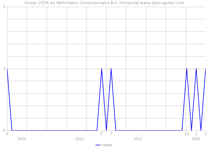 Visitas 2024 de Wehrmann Gevelrenovatie B.V. (Holanda) 