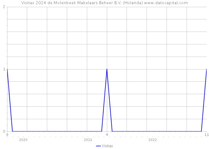 Visitas 2024 de Molenbeek Makelaars Beheer B.V. (Holanda) 