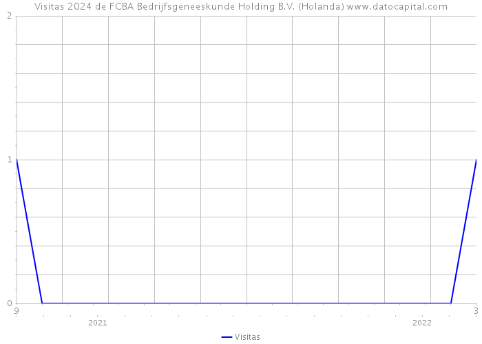 Visitas 2024 de FCBA Bedrijfsgeneeskunde Holding B.V. (Holanda) 