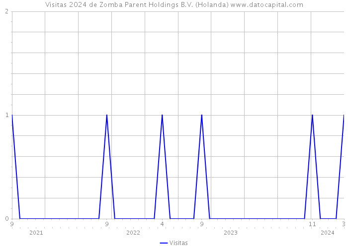 Visitas 2024 de Zomba Parent Holdings B.V. (Holanda) 