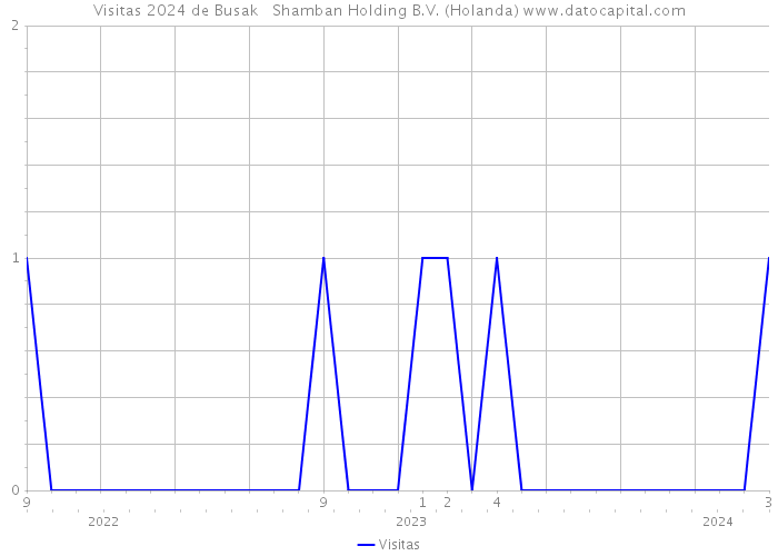 Visitas 2024 de Busak + Shamban Holding B.V. (Holanda) 