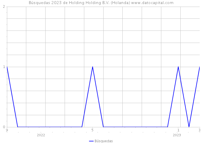 Búsquedas 2023 de Holding Holding B.V. (Holanda) 