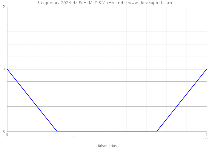 Búsquedas 2024 de BaHaMaS B.V. (Holanda) 