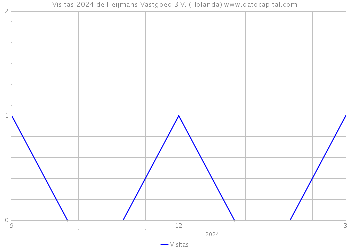 Visitas 2024 de Heijmans Vastgoed B.V. (Holanda) 