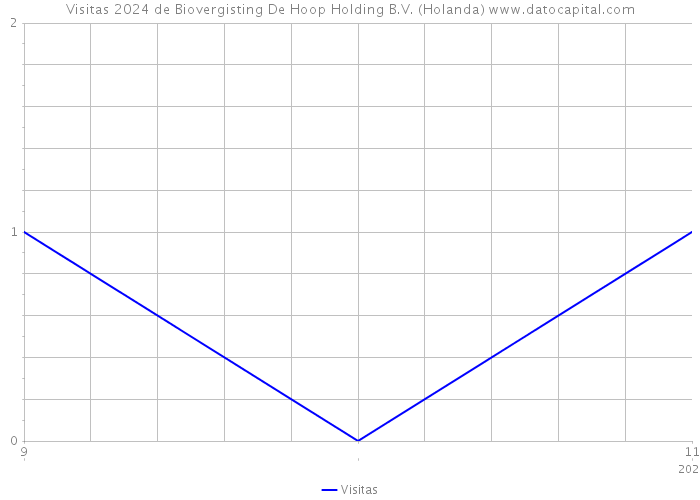 Visitas 2024 de Biovergisting De Hoop Holding B.V. (Holanda) 