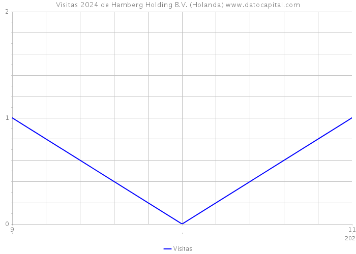 Visitas 2024 de Hamberg Holding B.V. (Holanda) 
