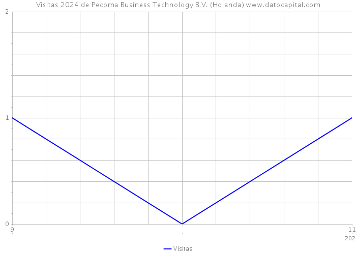 Visitas 2024 de Pecoma Business Technology B.V. (Holanda) 