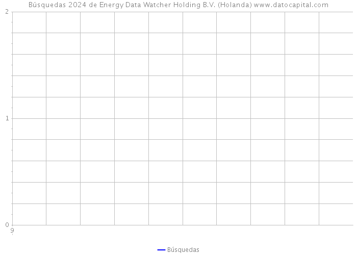 Búsquedas 2024 de Energy Data Watcher Holding B.V. (Holanda) 