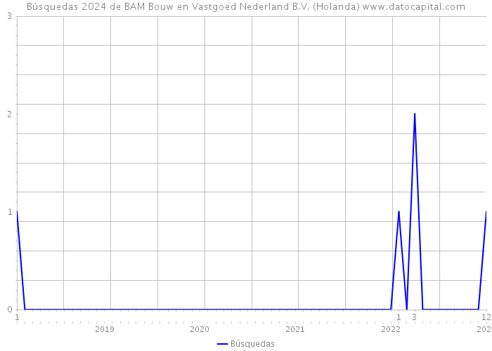Búsquedas 2024 de BAM Bouw en Vastgoed Nederland B.V. (Holanda) 