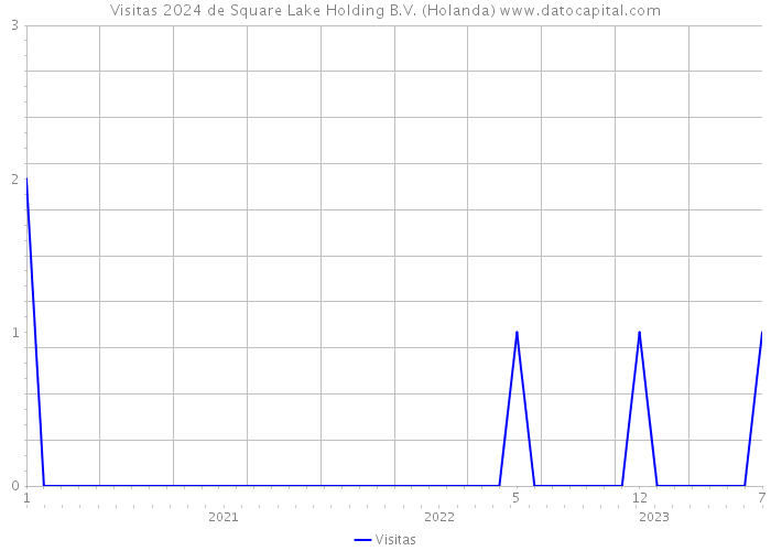 Visitas 2024 de Square Lake Holding B.V. (Holanda) 