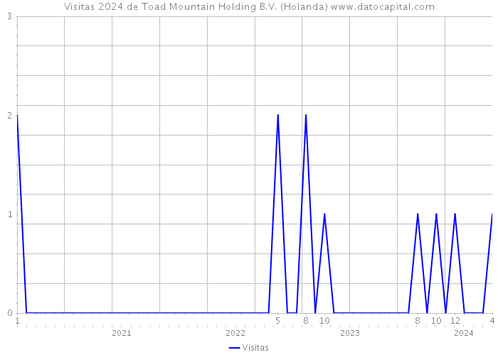 Visitas 2024 de Toad Mountain Holding B.V. (Holanda) 