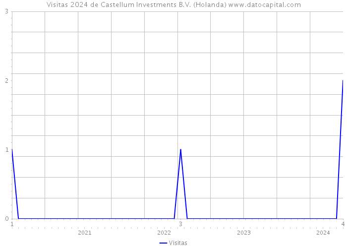 Visitas 2024 de Castellum Investments B.V. (Holanda) 