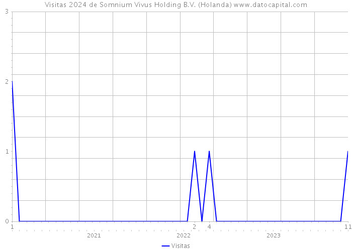Visitas 2024 de Somnium Vivus Holding B.V. (Holanda) 