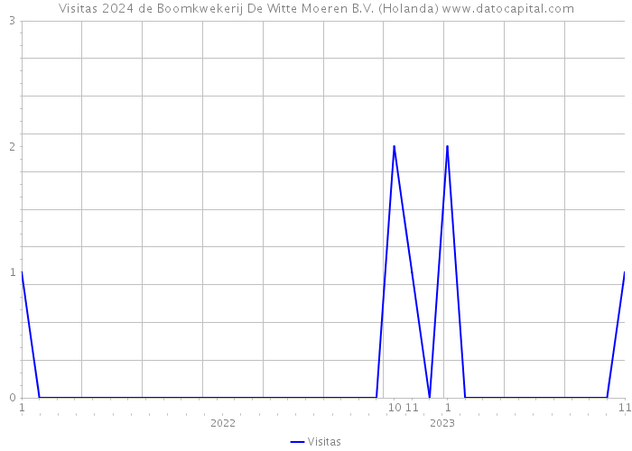 Visitas 2024 de Boomkwekerij De Witte Moeren B.V. (Holanda) 