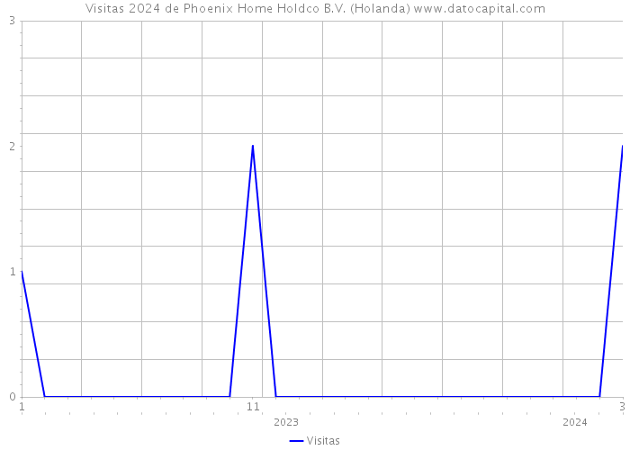 Visitas 2024 de Phoenix Home Holdco B.V. (Holanda) 