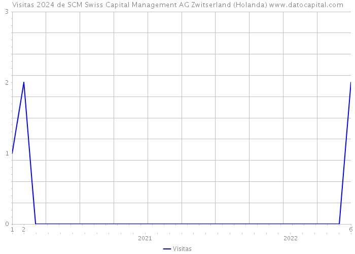 Visitas 2024 de SCM Swiss Capital Management AG Zwitserland (Holanda) 