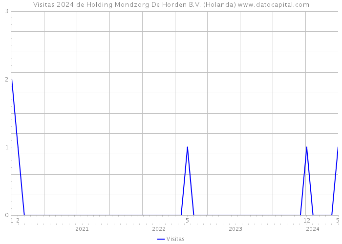 Visitas 2024 de Holding Mondzorg De Horden B.V. (Holanda) 