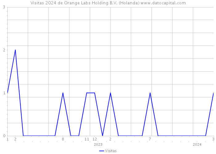 Visitas 2024 de Orange Labs Holding B.V. (Holanda) 