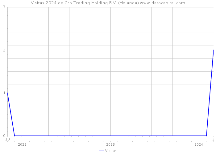 Visitas 2024 de Gro Trading Holding B.V. (Holanda) 