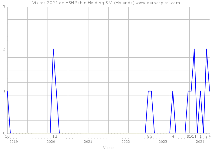 Visitas 2024 de HSH Sahin Holding B.V. (Holanda) 