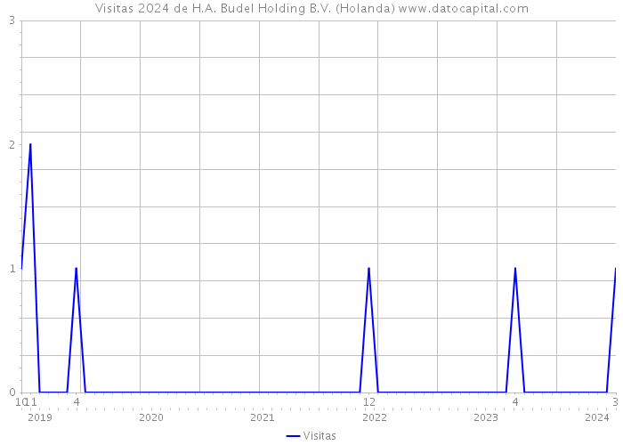 Visitas 2024 de H.A. Budel Holding B.V. (Holanda) 