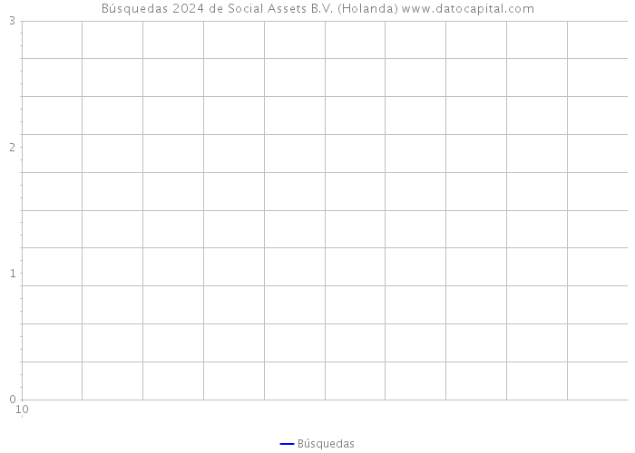 Búsquedas 2024 de Social Assets B.V. (Holanda) 