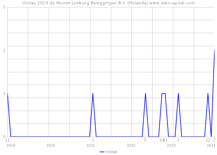 Visitas 2024 de Wonen Limburg Beleggingen B.V. (Holanda) 