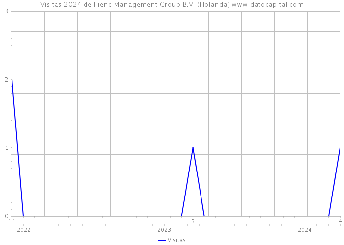 Visitas 2024 de Fiene Management Group B.V. (Holanda) 