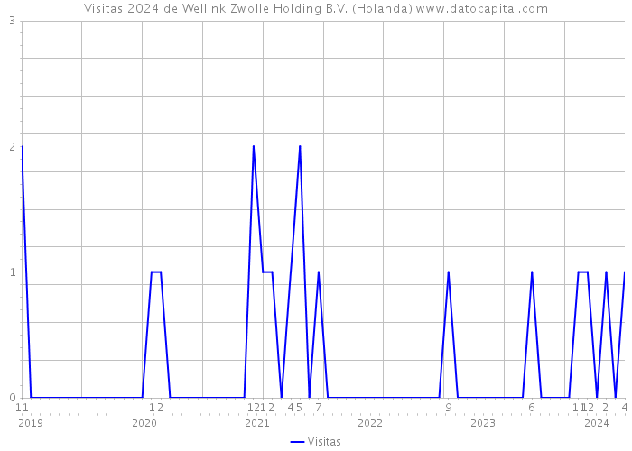 Visitas 2024 de Wellink Zwolle Holding B.V. (Holanda) 