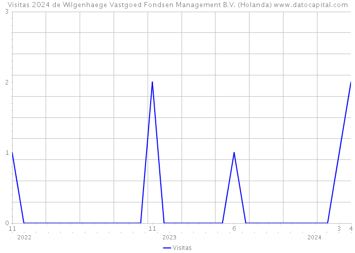 Visitas 2024 de Wilgenhaege Vastgoed Fondsen Management B.V. (Holanda) 