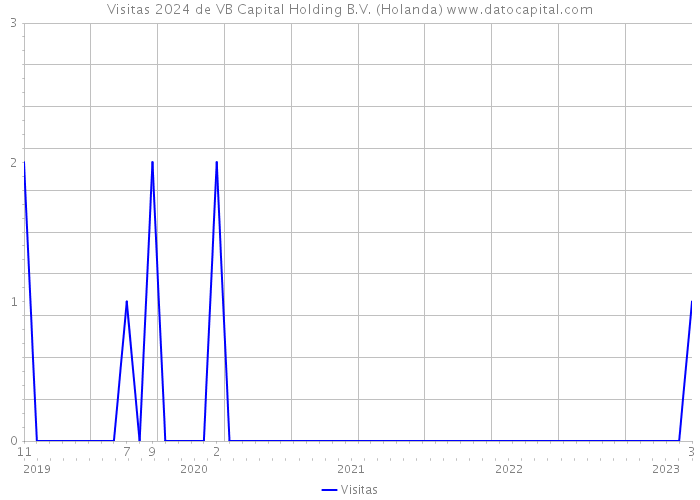 Visitas 2024 de VB Capital Holding B.V. (Holanda) 