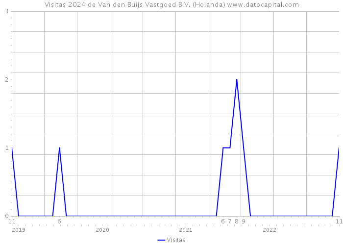 Visitas 2024 de Van den Buijs Vastgoed B.V. (Holanda) 