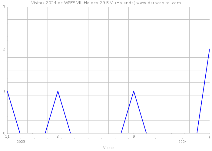 Visitas 2024 de WPEF VIII Holdco 29 B.V. (Holanda) 