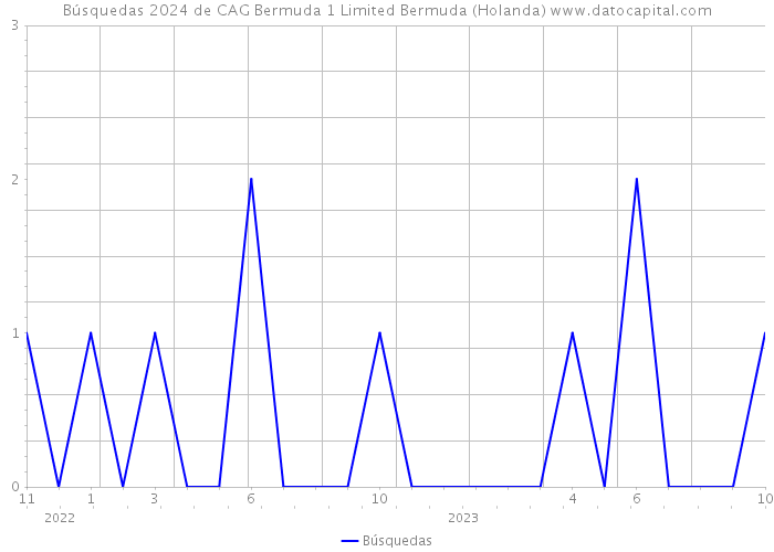 Búsquedas 2024 de CAG Bermuda 1 Limited Bermuda (Holanda) 