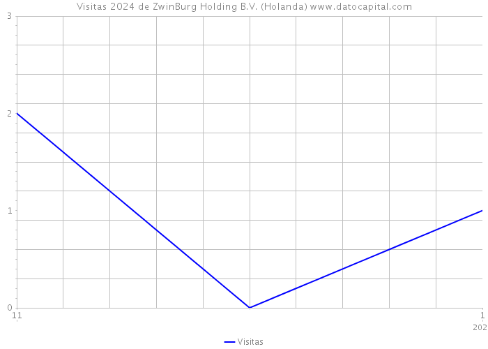 Visitas 2024 de ZwinBurg Holding B.V. (Holanda) 