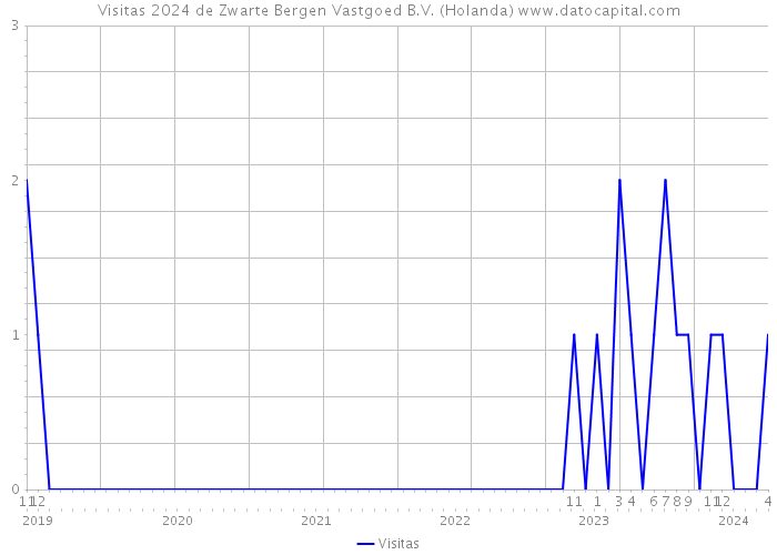 Visitas 2024 de Zwarte Bergen Vastgoed B.V. (Holanda) 